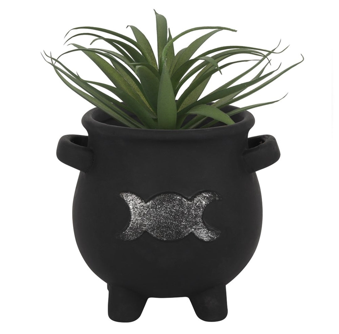 Cauldron Plant pot