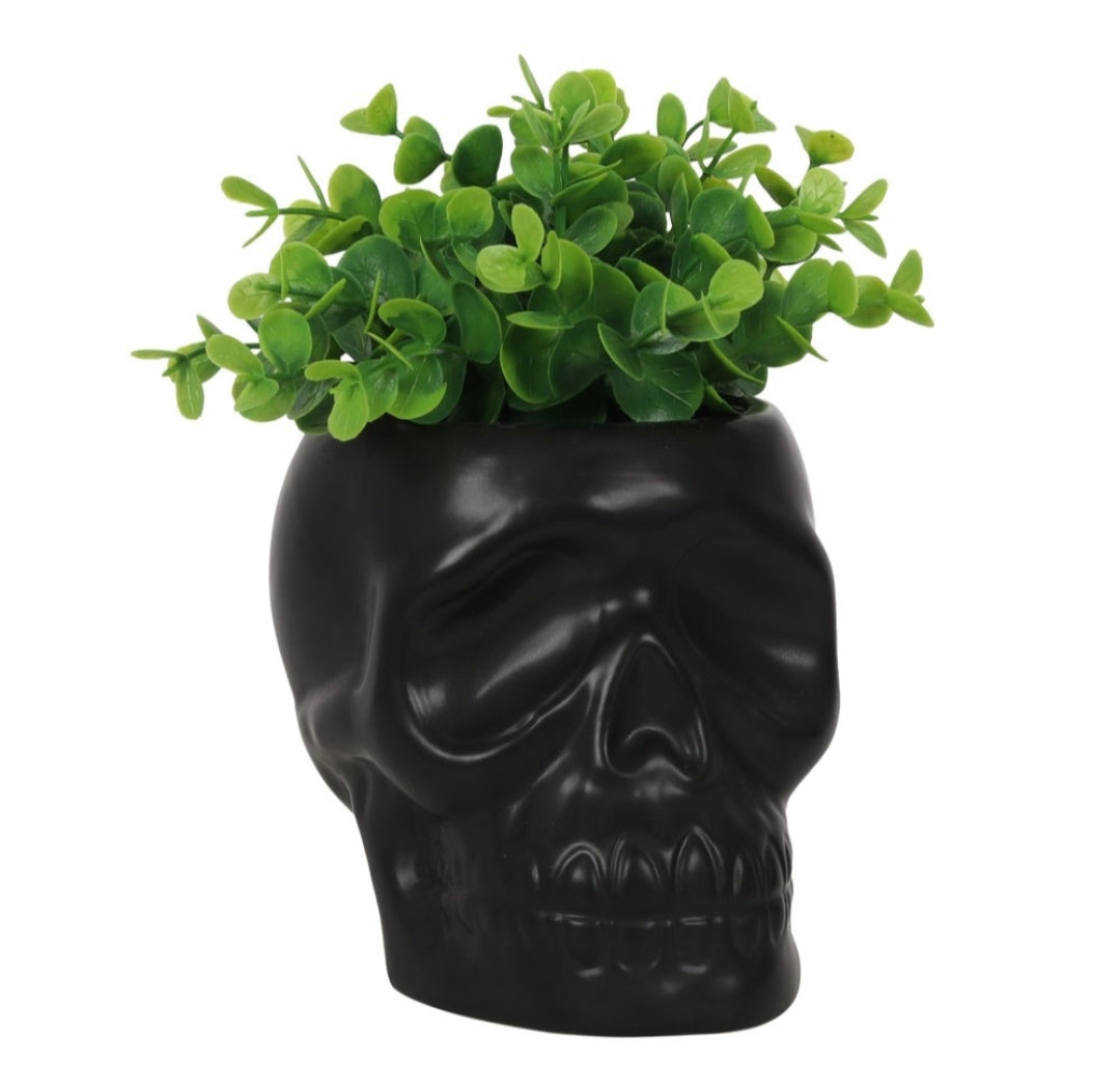 Black skull pot