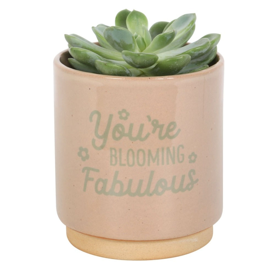 Blooming Fabulous pot